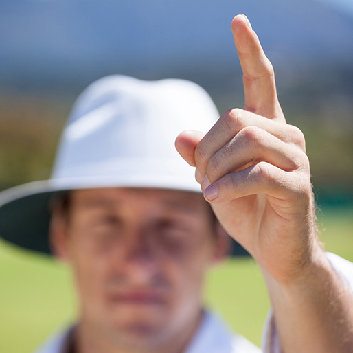 technology integration in cricket