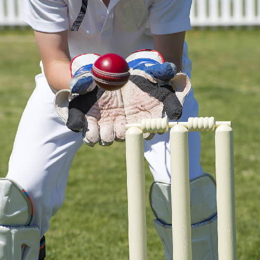 How are AI and Data Analytics revolutionizing Cricket?