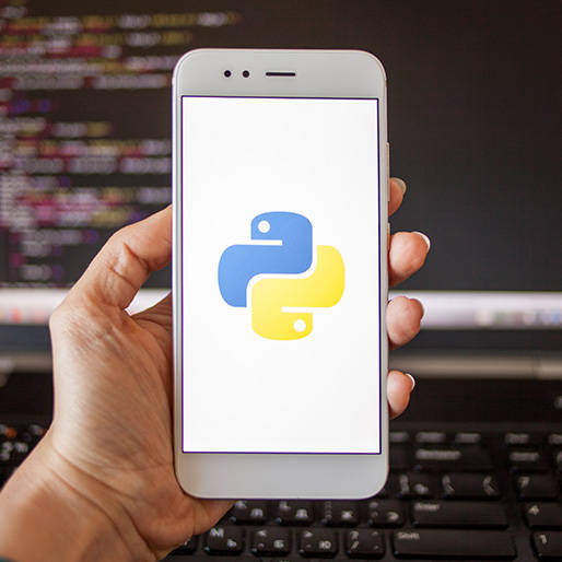 python for embedded systems