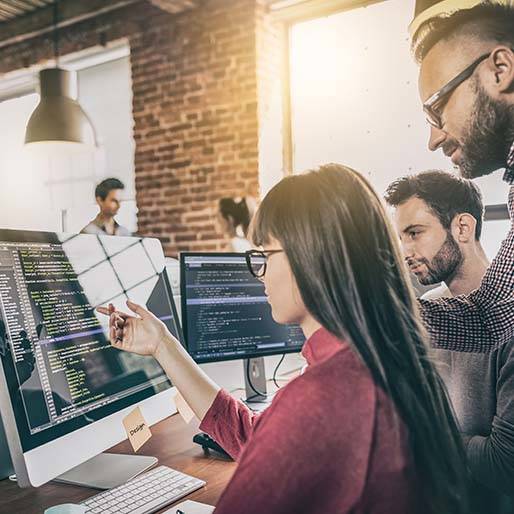 Software Developers career